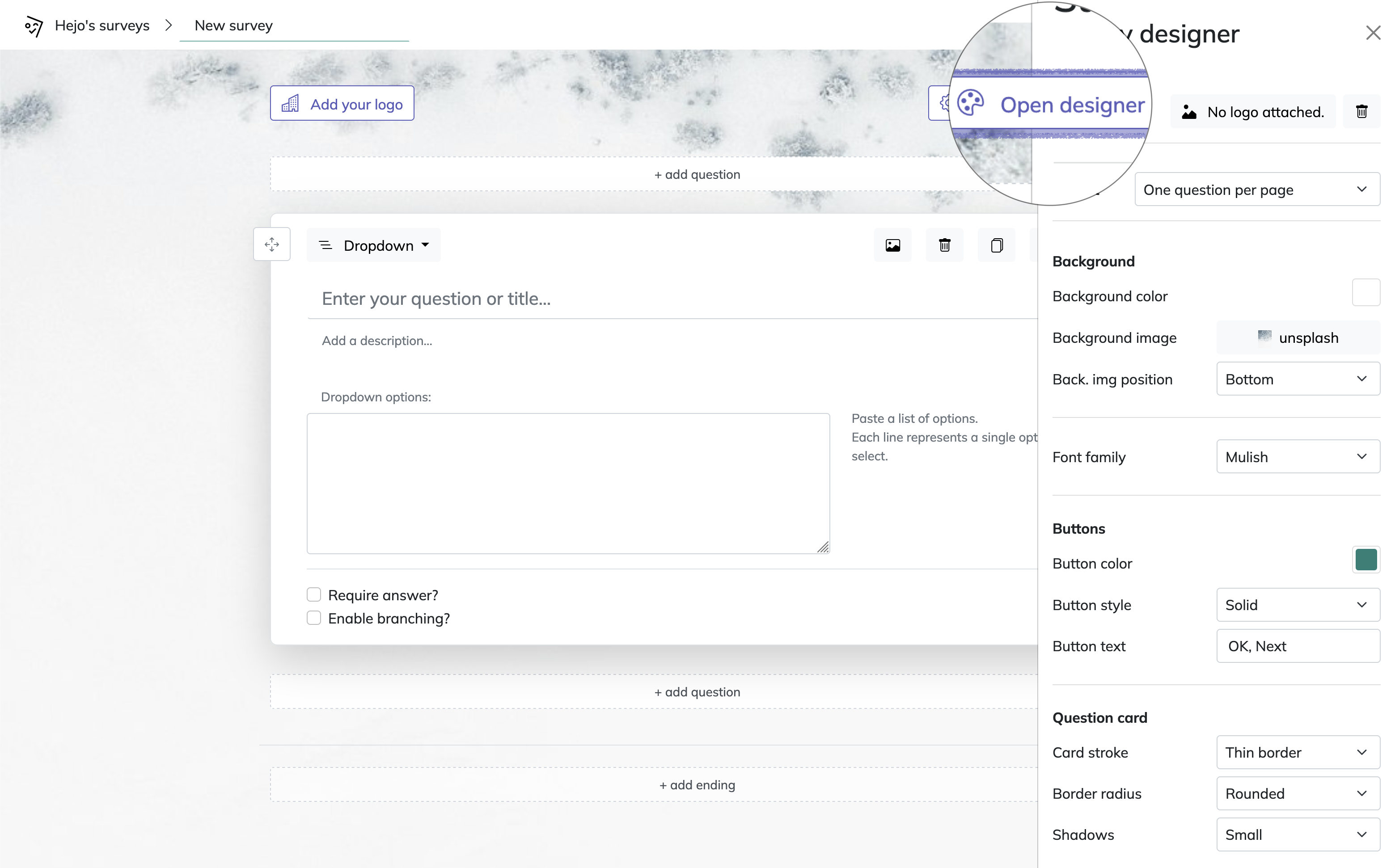 survey editor
